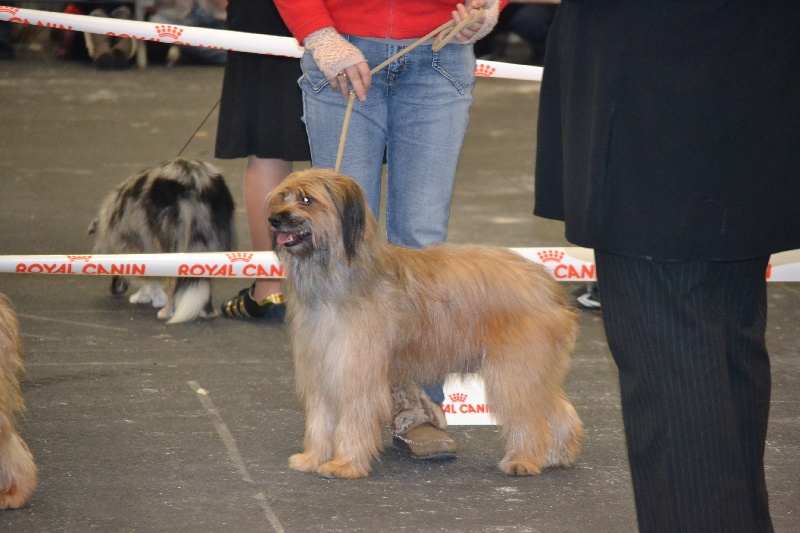 Cachou de la vallée d'oueil